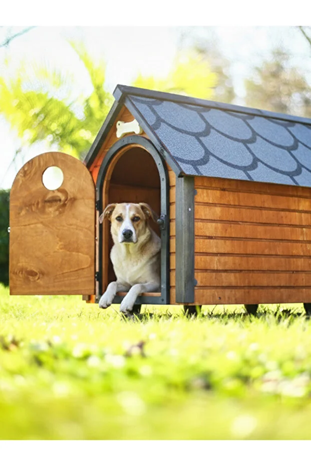 Ahşap Köpek Kulübesi